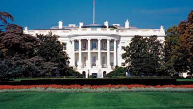 Tweets and Teslas :Trump vs Musk "politics meet innovation"
