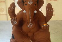 Organic Ganesha Idols