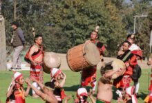 Hornbill Festival
