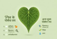 पान के पत्ते