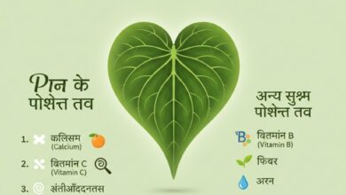 पान के पत्ते