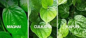 पान के पत्ते