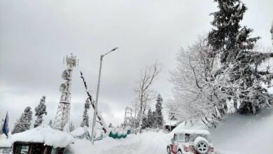 बर्फ की चादर