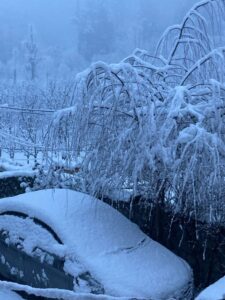 बर्फ की चादर