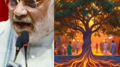 जड़ें मजबूत