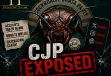 Did CJP