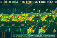 #Assam1CrTrees