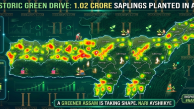 #Assam1CrTrees