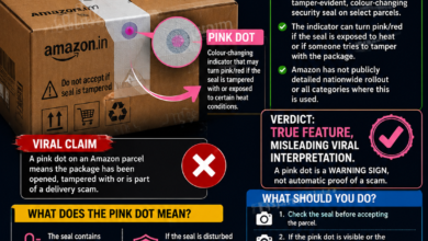 Pink Dot, Red Flag?
